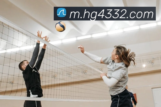 皇冠体育网站入口品牌故事