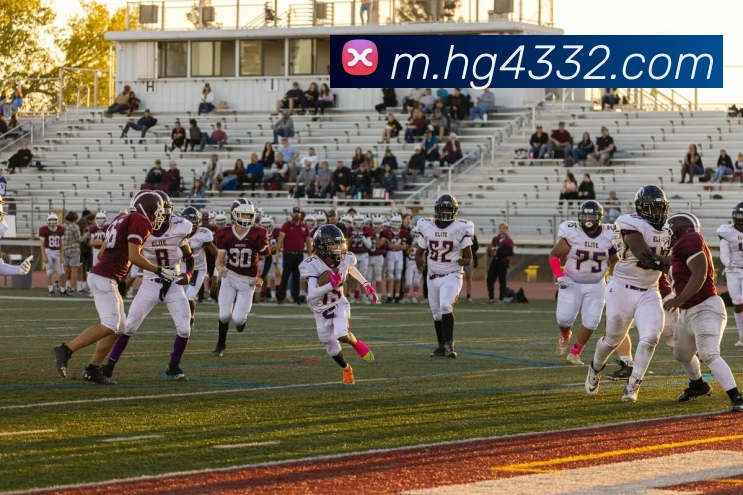 多媒体互动体验